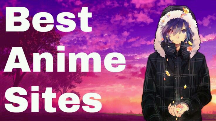 10 Websites to Watch Anime Online You Should Know! 